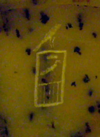 Depiction: Khaba