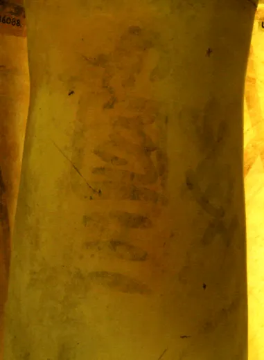 Depiction: Crocodile